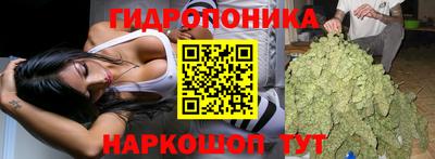 сатива Краснокаменск