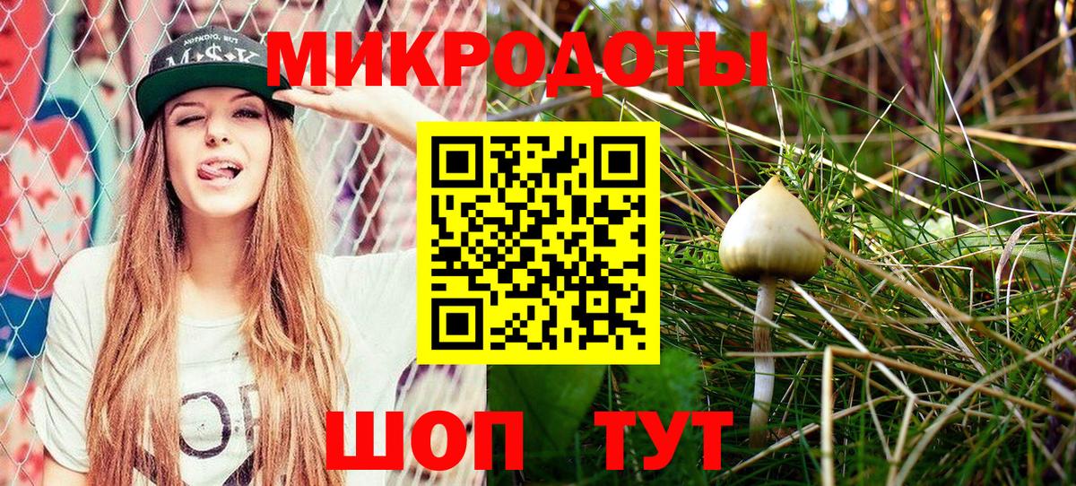Псилоцибиновые грибы GOLDEN TEACHER Кизляр